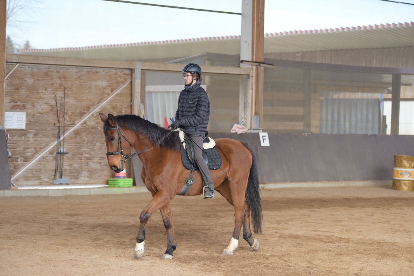 Sitzschule-Kurs mit Bastian Koch (nach Centered Riding)